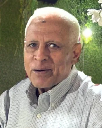 ا.احمد على الشاذلى